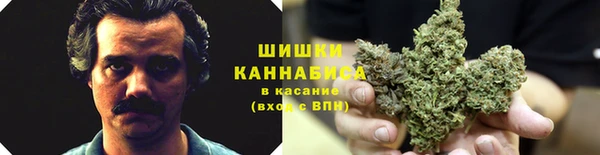a pvp Лиски