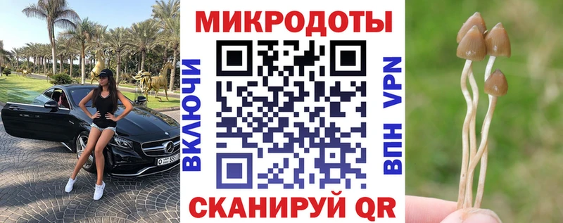 Псилоцибиновые грибы ЛСД  Купить закладки  Мончегорск 